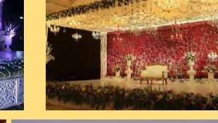 Reception Floral Wall Stage - Best Lakh Bangle Maker India